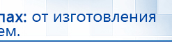 Прибор Дэнас ПКМ купить в Гатчине, Аппараты Дэнас купить в Гатчине, Дэнас официальный сайт denasdoctor.ru